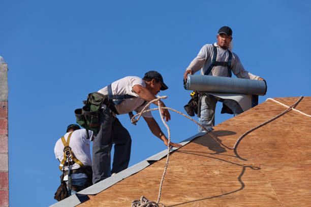 Best Roof Gutter Cleaning  in Buffalo, WY