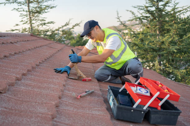 Best Best Roofing Contractors  in Buffalo, WY