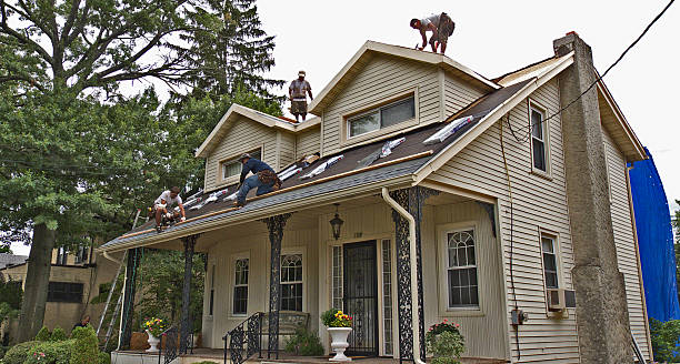 Best Flat Roof Repair Services  in Buffalo, WY
